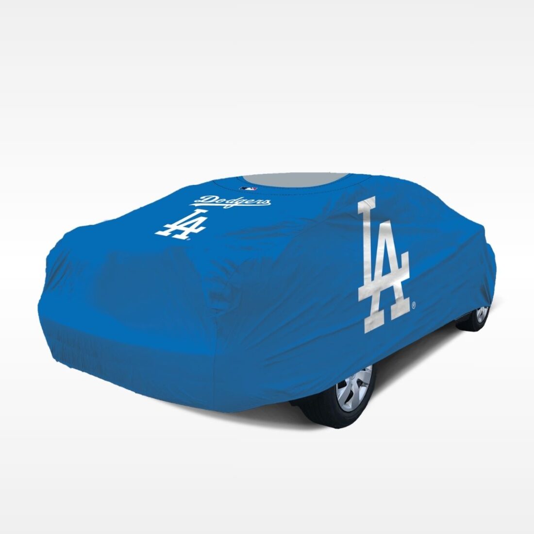LA Dodgers Blue Back Angle